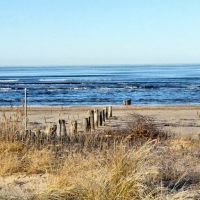 Havsbild